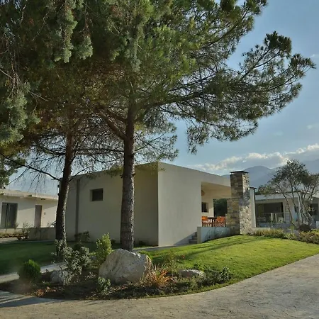 In - 4rosesvillas - Rose *