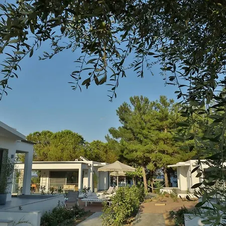 In - 4rosesvillas - Rose Πανσιόν Λεπτοκαρυά